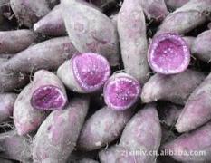 安徽紫薯、红薯大量供应