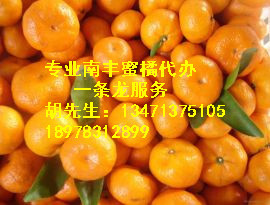 2014年广西兴安南丰蜜桔价格