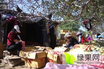 2015年山西临猗红富士价格