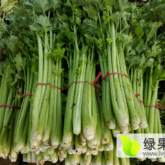 2015金乡芹菜值得出手