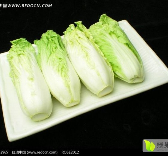 2015年12月6日河南新野娃娃菜价格