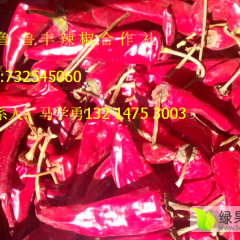 内蒙古开鲁北京红 六寸红 千金红干辣椒早买早赚