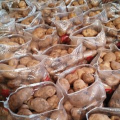 博兴土豆何去何从,湖滨舒士政诚信合作