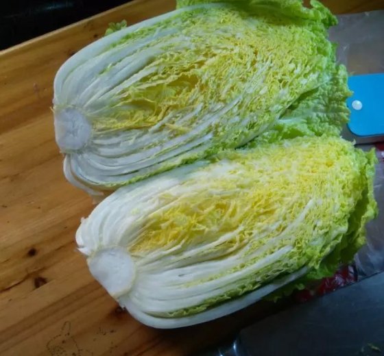 2015年湖北嘉鱼秋宝白菜价格