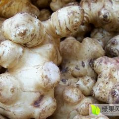 2015内黄洋姜菊芋鬼子姜值得入手