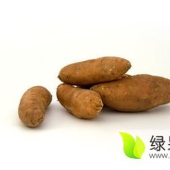 山东东港来福+红香蕉红薯欢迎合作