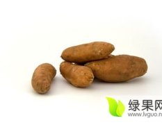 山东东港来福+红香蕉红薯欢迎合作