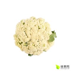 临渭菜花价格行情平稳,官路杨余粮诚信合作