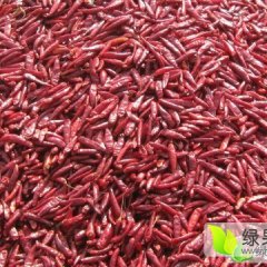 金乡其他蔬菜假一赔十,山禄李登店诚信合作