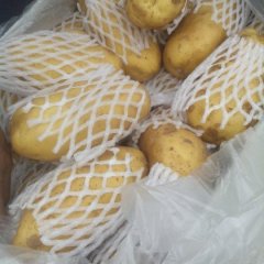 2015滕州土豆走过路过不要错过