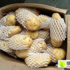 山东肥城荷兰十五土豆名优产品