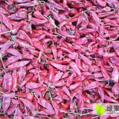 山西太谷北京红辣椒价格行情平稳