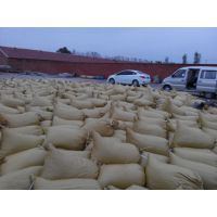 宁河丰台刘建永11月羊角椒辣椒