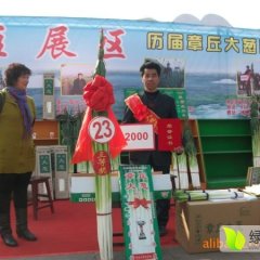 章丘大葱价格行情平稳绣惠付新诚信合作