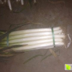 平度大葱随行就市,张戈梁京超诚信合作