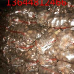 武川土豆诚信合作.代办服务