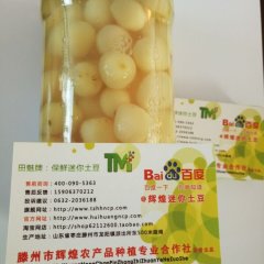 山东滕州中薯系列土豆品质优良