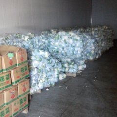 天门湖北李文诚10月银冠菜花