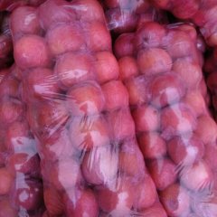 临猗耽子张伟春节后红富士苹果