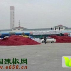 供应：金乡干辣椒-大量出售中-便宜质量好