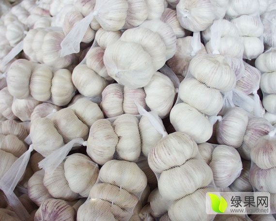 2016年山东金乡金乡大蒜价格