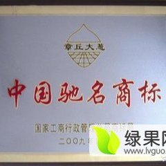 正宗山东章丘大葱名优产品