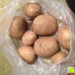 2015围场土豆值得出手