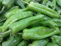 晋江大量出售各种辣椒.西红柿.茄子