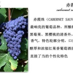 自产自酿葡萄酒