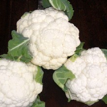 砀山菜花香甜可口,范庄范先生诚信合作