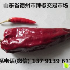 宁津辣椒著名品牌,辣椒刘先生诚信合作