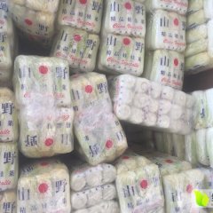 徐州市铜山县赵志龙10月娃娃菜小白菜