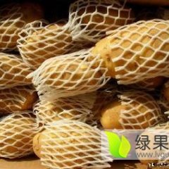 山东昌邑供应冷库土豆