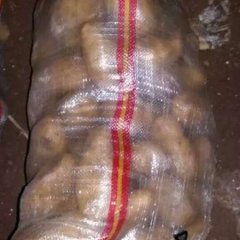 武川土豆火热上市,哈乐马红旺诚信合作