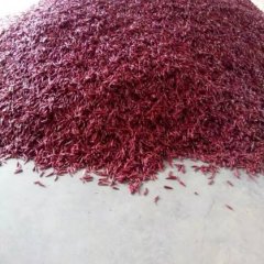 民权辣椒名优产品,龙塘轩先生诚信合作