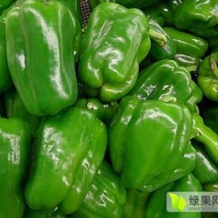 莘县董杜夏广军12月圆椒辣椒