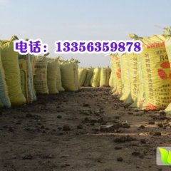 丰收绿色干鸡粪改良土壤盼合作