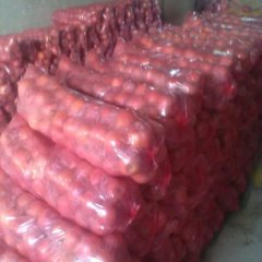 临猗苹果欢迎合作东张张红文诚信合作