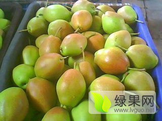 2016年陕西大荔红香酥梨价格