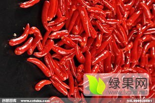 河南通许县三樱辣椒