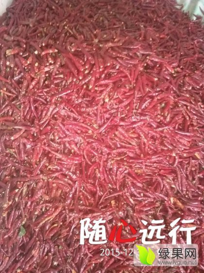 甜王系列价格