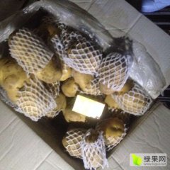 昌邑土豆品质优良，石埠代先生诚信合作