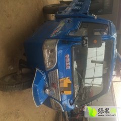 山东胶州铁杆大葱早买早赚