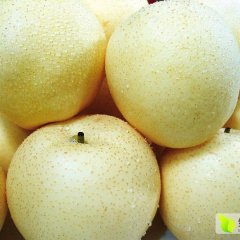 安徽砀山皇冠梨价格适宜