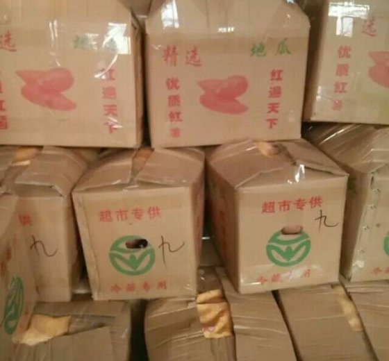 2015年山东昌乐红香蕉窖存价格