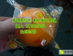 禅城华宝郑秀12月杭州脐橙包装机其他产品