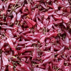 内蒙古开鲁野山椒辣椒营养丰富