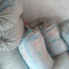 山东巨野三樱椒辣椒聚焦市场