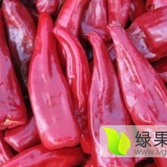 山西忻州干辣椒大量上市了！