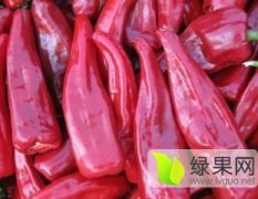 山西忻州干辣椒大量上市了！